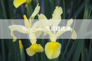 日土九宫格优点