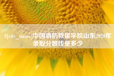 日土中国消防救援学院山东2020年录取分数线是多少