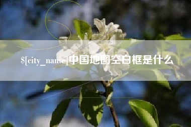 日土中国地图空白框是什么