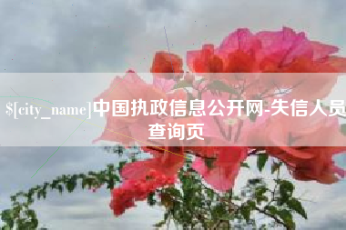 日土中国执政信息公开网-失信人员查询页