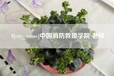 日土中国消防救援学院 老师