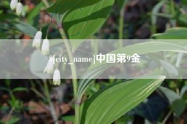 日土中国第9金