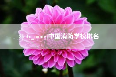 日土中国消防学校排名