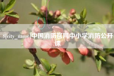 日土中国消防官网中小学消防公开课