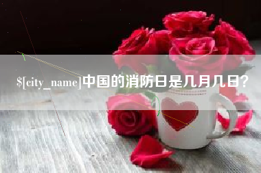 日土中国的消防日是几月几日？
