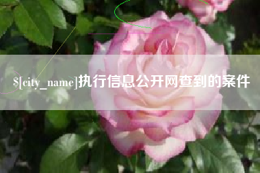 日土执行信息公开网查到的案件