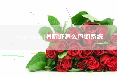 日土消防证怎么查询系统