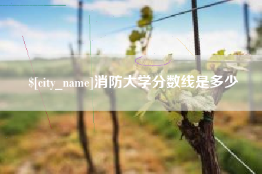 日土消防大学分数线是多少