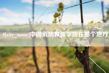 日土中国消防救援学院在那个地方