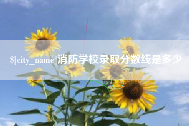 日土消防学校录取分数线是多少