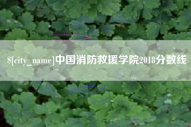 日土中国消防救援学院2018分数线