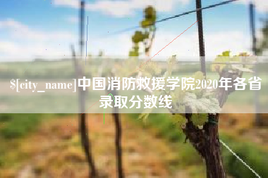 日土中国消防救援学院2020年各省录取分数线