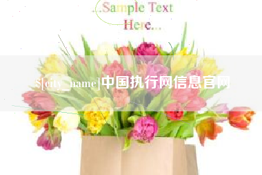 日土中国执行网信息官网
