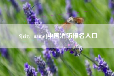 日土中国消防报名入口