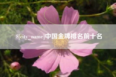 日土中国金牌排名前十名