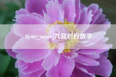 日土九宫对应数字