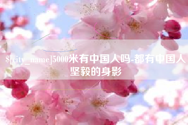 日土5000米有中国人吗-都有中国人坚毅的身影