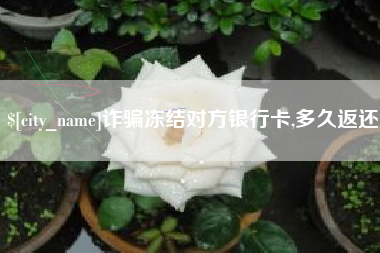 日土诈骗冻结对方银行卡,多久返还