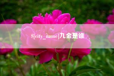 日土九金是谁