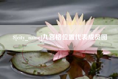 日土九宫格位置代表成员图