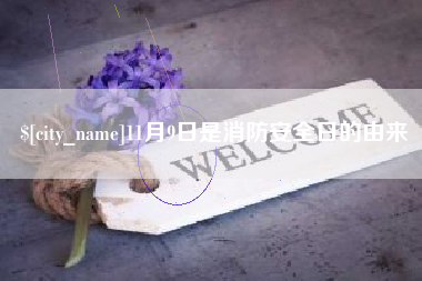 日土11月9日是消防安全日的由来