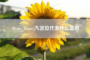 日土九宫位代表什么意思