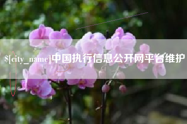 日土中国执行信息公开网平台维护