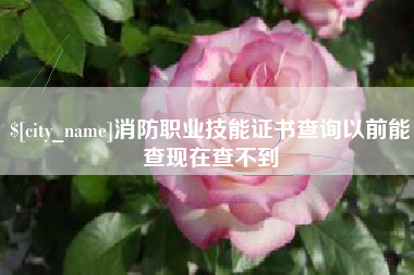 日土消防职业技能证书查询以前能查现在查不到