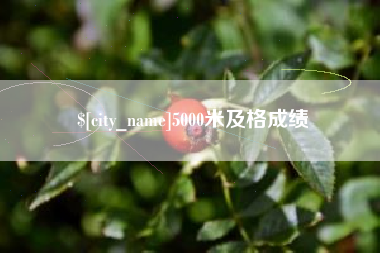日土5000米及格成绩