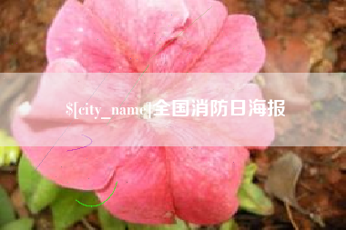 日土全国消防日海报
