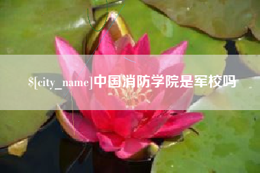 日土中国消防学院是军校吗