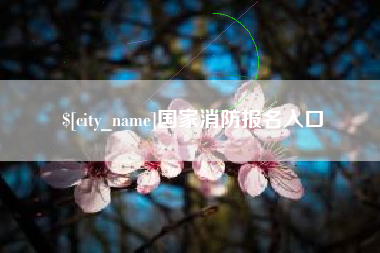 日土国家消防报名入口