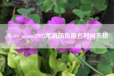 日土2025年消防员报名时间表格