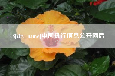 日土中国执行信息公开网后