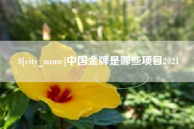 日土中国金牌是哪些项目2021
