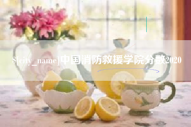 日土中国消防救援学院分数2020