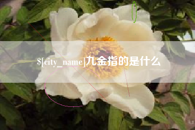 日土九金指的是什么