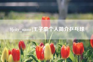 日土王子豪个人简介乒乓球