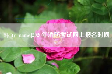 日土2020年消防考试网上报名时间