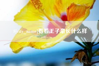 日土看看王子豪长什么样