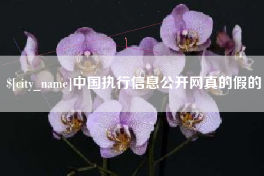 日土中国执行信息公开网真的假的
