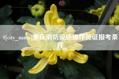 日土重庆消防设施操作员证报考条件