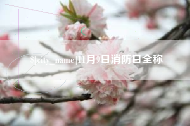 日土11月9日消防日全称