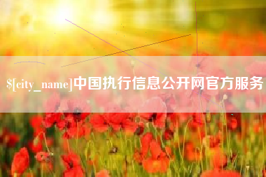 日土中国执行信息公开网官方服务