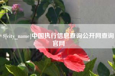 日土中国执行信息查询公开网查询官网
