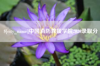 日土中国消防救援学院2020录取分