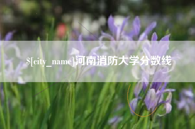 日土河南消防大学分数线