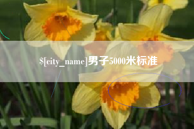 日土男子5000米标准
