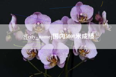 日土国内5000米成绩