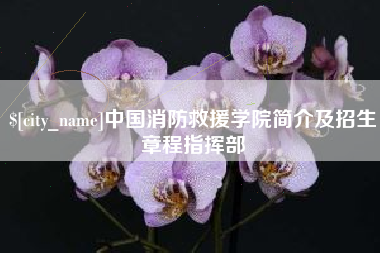 日土中国消防救援学院简介及招生章程指挥部